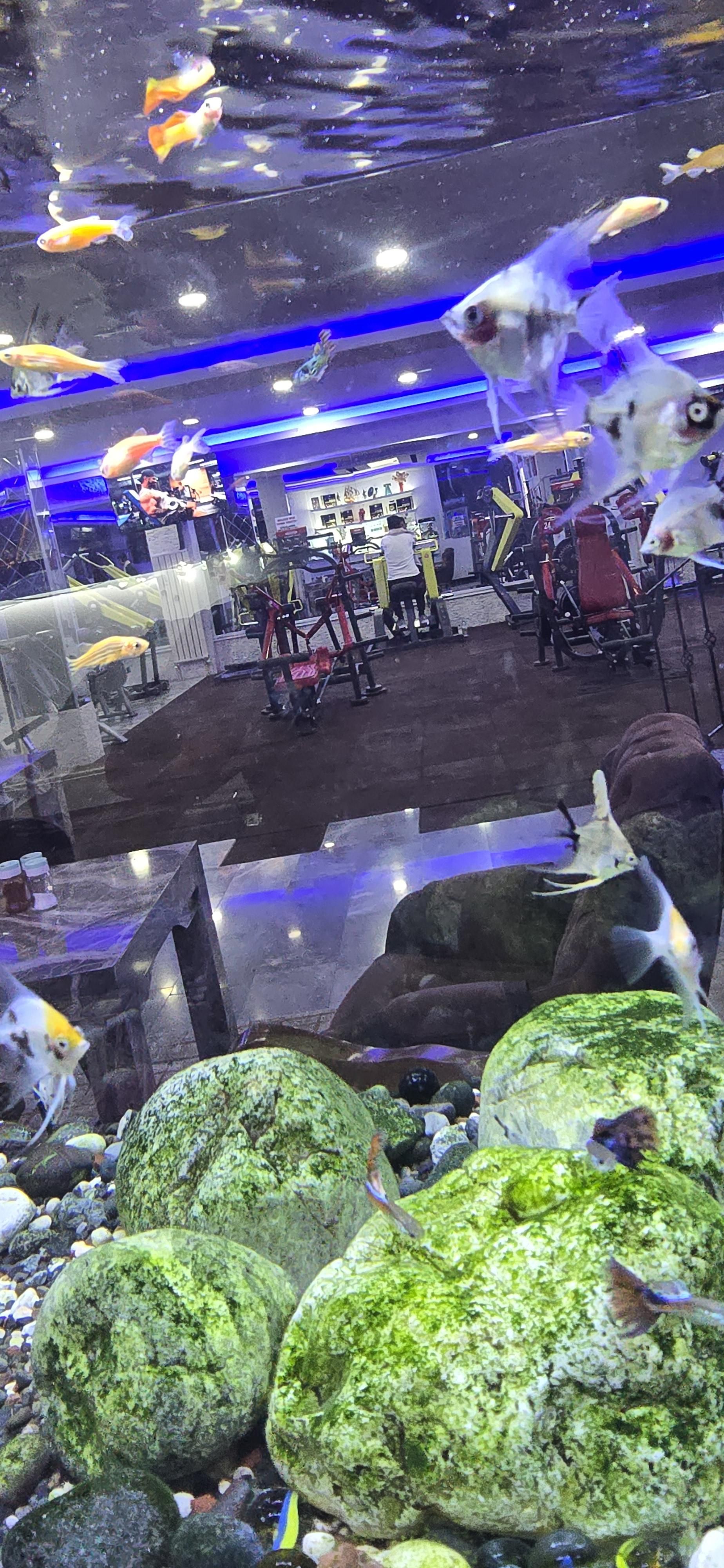 Ali Poyraz GYM salon görüntüsü 6
